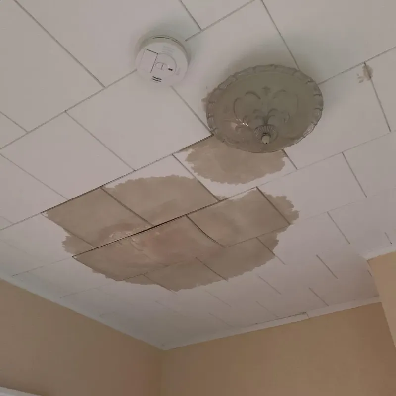 Ceiling Water Damage Repair in Scotland County, NC