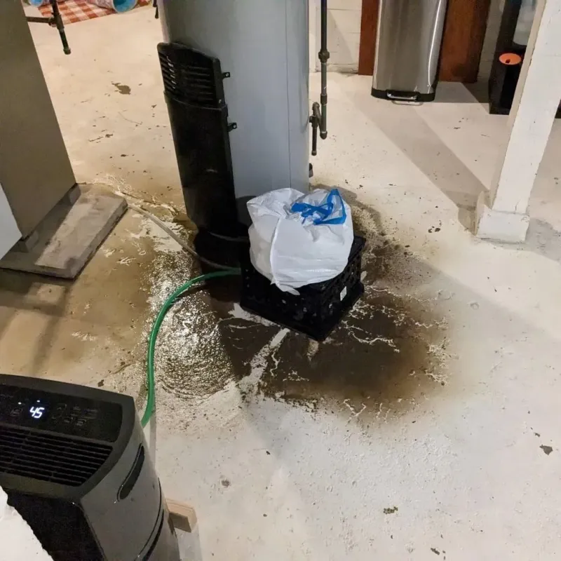 Sewage Backup Cleanup Service in Scotland County, NC